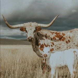 Meet your Posher, Kaylee